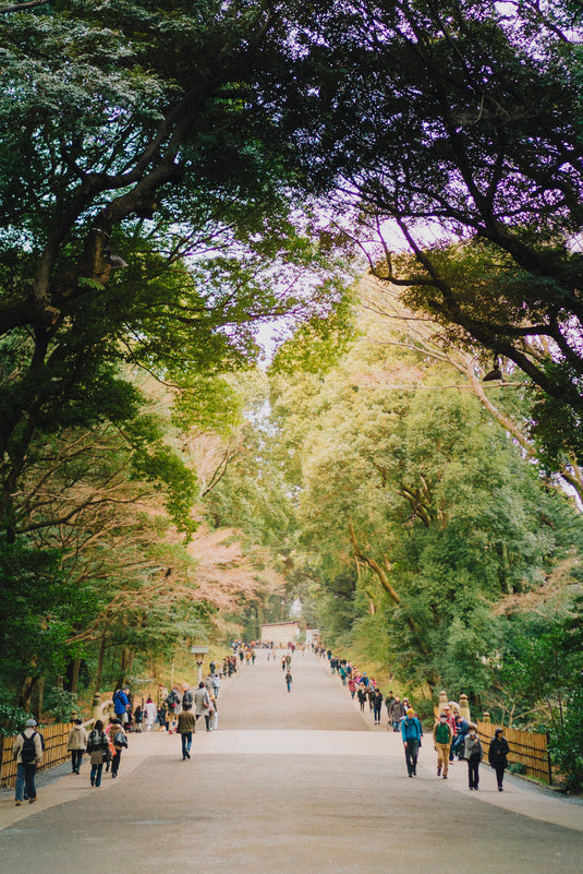 People of diverse cultures and beliefs following a green pathway